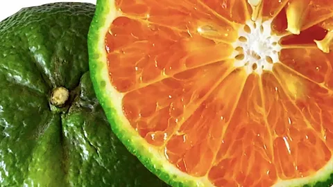 Cítrico verde naranja partido, fuente de vitamina C y antioxidantes